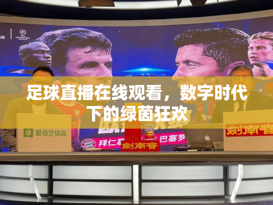 足球直播在线观看，数字时代下的绿茵狂欢
