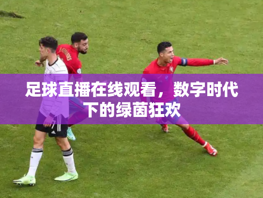 足球直播在线观看，数字时代下的绿茵狂欢