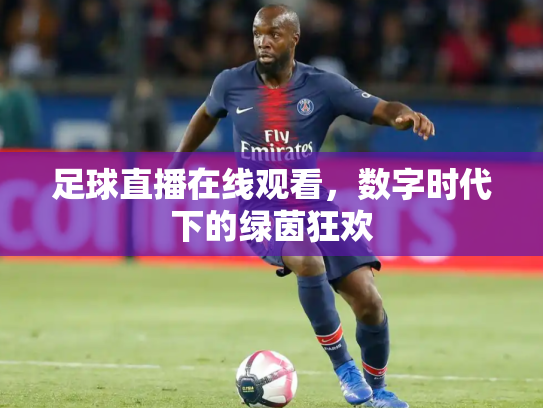 足球直播在线观看，数字时代下的绿茵狂欢
