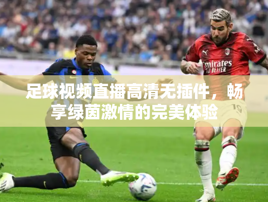 足球视频直播高清无插件，畅享绿茵激情的完美体验