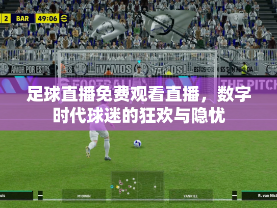 足球直播免费观看直播，数字时代球迷的狂欢与隐忧