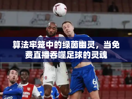 算法牢笼中的绿茵幽灵，当免费直播吞噬足球的灵魂