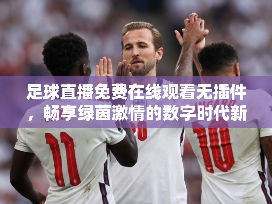 足球直播免费在线观看无插件，畅享绿茵激情的数字时代新方式