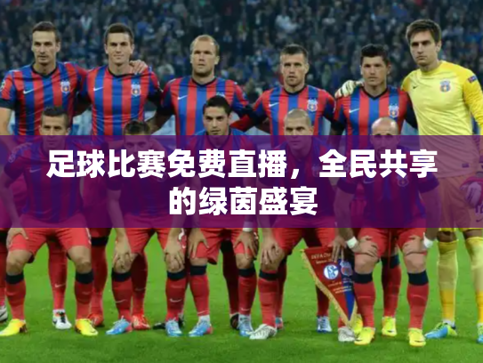 足球比赛免费直播，全民共享的绿茵盛宴