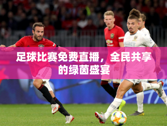 足球比赛免费直播，全民共享的绿茵盛宴