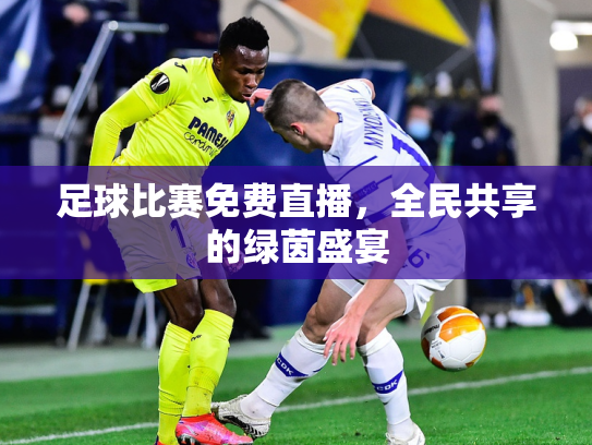 足球比赛免费直播，全民共享的绿茵盛宴