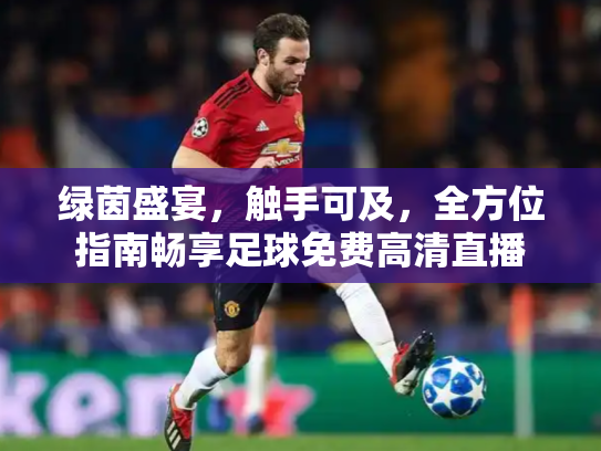 绿茵盛宴，触手可及，全方位指南畅享足球免费高清直播