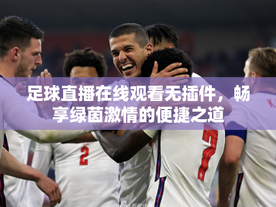 足球直播在线观看无插件，畅享绿茵激情的便捷之道