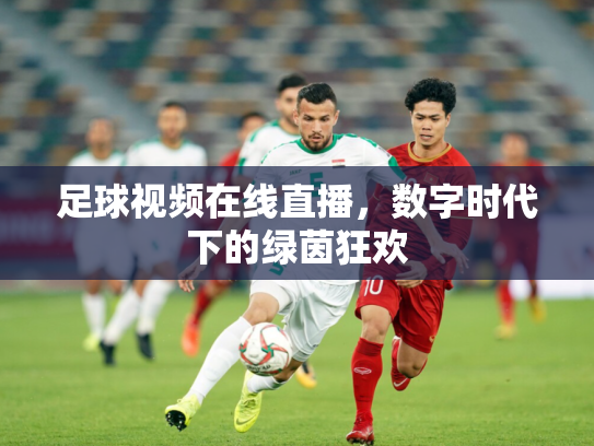 足球视频在线直播，数字时代下的绿茵狂欢