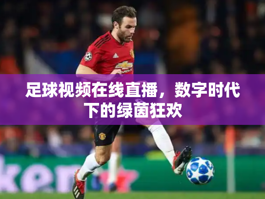 足球视频在线直播，数字时代下的绿茵狂欢