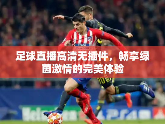 足球直播高清无插件，畅享绿茵激情的完美体验
