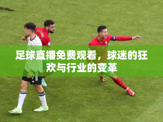 足球直播免费观看，球迷的狂欢与行业的变革