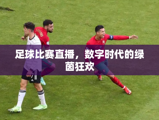 足球比赛直播，数字时代的绿茵狂欢