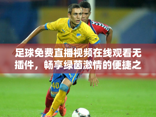 足球免费直播视频在线观看无插件，畅享绿茵激情的便捷之道