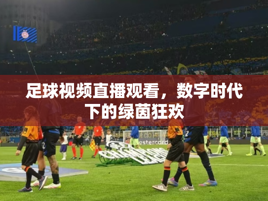 足球视频直播观看，数字时代下的绿茵狂欢