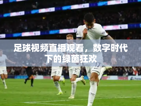 足球视频直播观看，数字时代下的绿茵狂欢