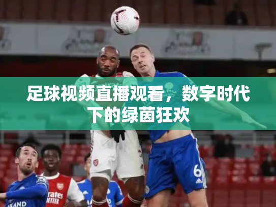 足球视频直播观看，数字时代下的绿茵狂欢