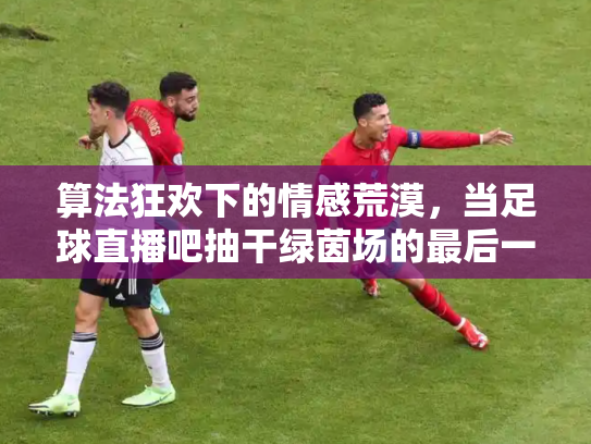 算法狂欢下的情感荒漠，当足球直播吧抽干绿茵场的最后一滴灵魂
