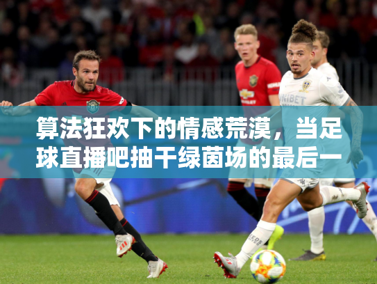 算法狂欢下的情感荒漠，当足球直播吧抽干绿茵场的最后一滴灵魂