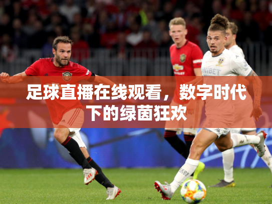 足球直播在线观看，数字时代下的绿茵狂欢