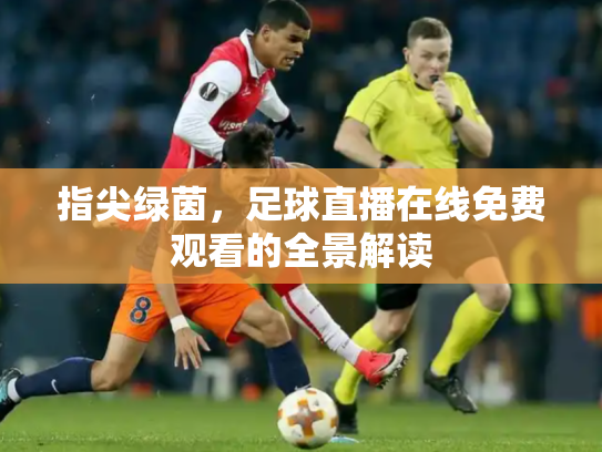 指尖绿茵，足球直播在线免费观看的全景解读