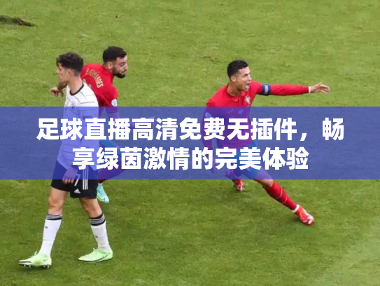 足球直播高清免费无插件，畅享绿茵激情的完美体验