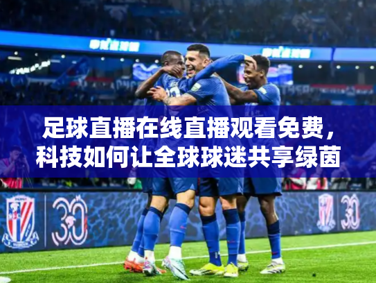足球直播在线直播观看免费，科技如何让全球球迷共享绿茵激情