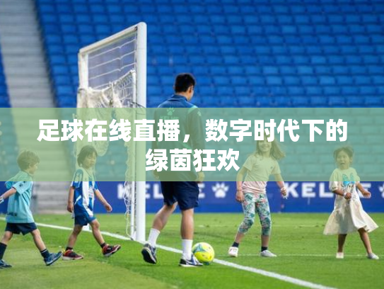 足球在线直播，数字时代下的绿茵狂欢