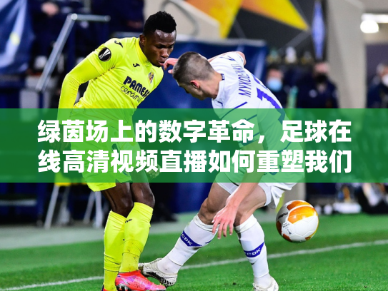 绿茵场上的数字革命，足球在线高清视频直播如何重塑我们的观赛体验