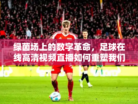 绿茵场上的数字革命，足球在线高清视频直播如何重塑我们的观赛体验
