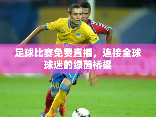 足球比赛免费直播，连接全球球迷的绿茵桥梁