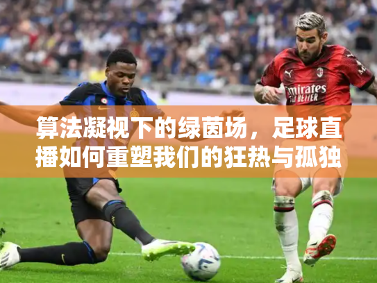 算法凝视下的绿茵场，足球直播如何重塑我们的狂热与孤独