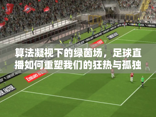 算法凝视下的绿茵场，足球直播如何重塑我们的狂热与孤独