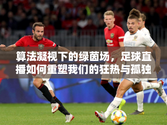 算法凝视下的绿茵场，足球直播如何重塑我们的狂热与孤独