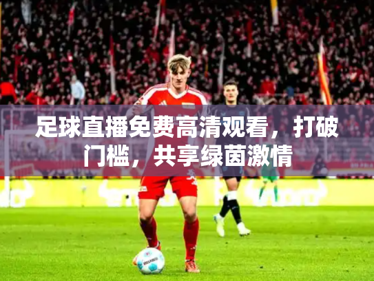 足球直播免费高清观看，打破门槛，共享绿茵激情