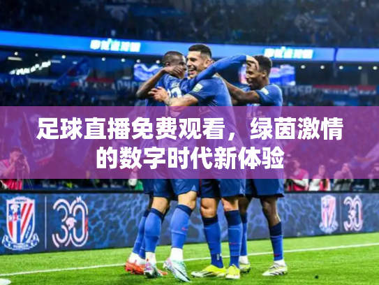 足球直播免费观看，绿茵激情的数字时代新体验