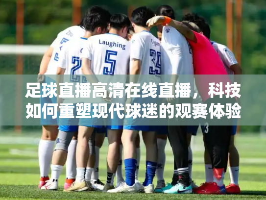 足球直播高清在线直播，科技如何重塑现代球迷的观赛体验