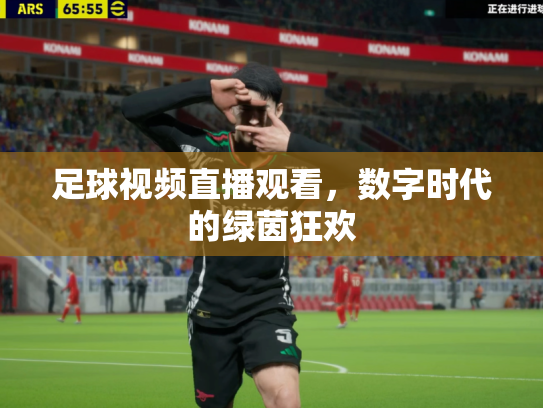 足球视频直播观看，数字时代的绿茵狂欢