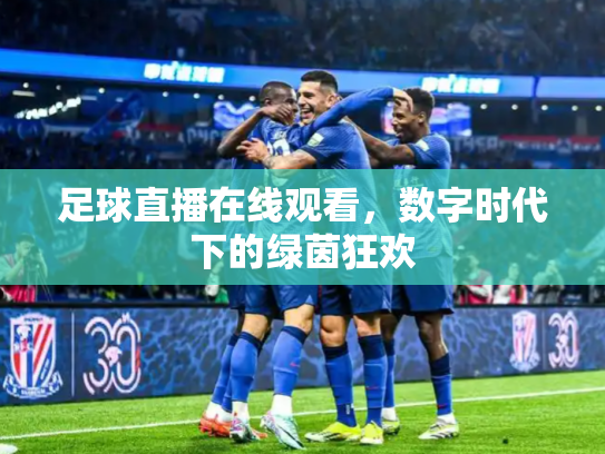 足球直播在线观看，数字时代下的绿茵狂欢