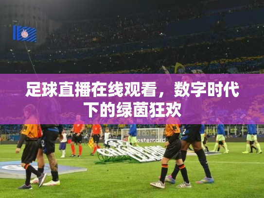 足球直播在线观看，数字时代下的绿茵狂欢