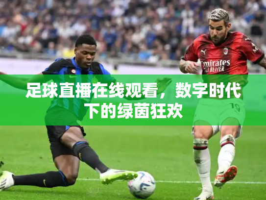 足球直播在线观看，数字时代下的绿茵狂欢