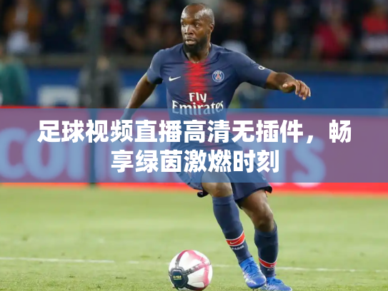 足球视频直播高清无插件，畅享绿茵激燃时刻
