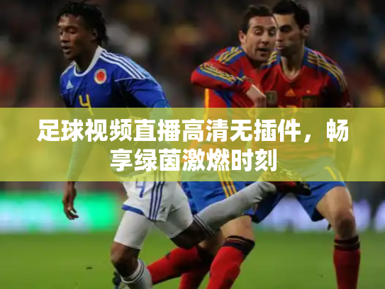 足球视频直播高清无插件，畅享绿茵激燃时刻
