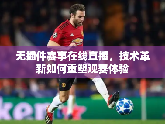 无插件赛事在线直播，技术革新如何重塑观赛体验