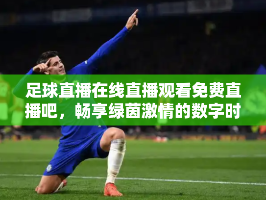 足球直播在线直播观看免费直播吧，畅享绿茵激情的数字时代