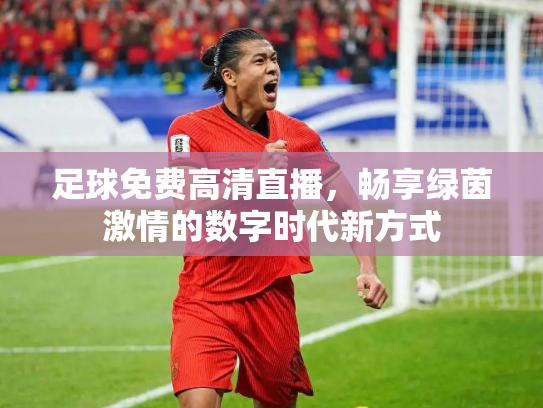 足球免费高清直播，畅享绿茵激情的数字时代新方式