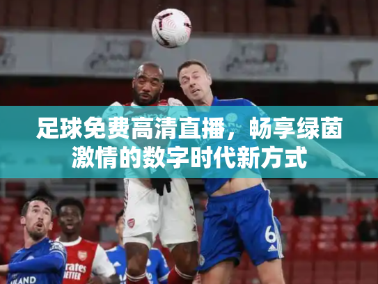 足球免费高清直播，畅享绿茵激情的数字时代新方式