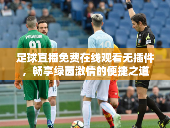 足球直播免费在线观看无插件，畅享绿茵激情的便捷之道