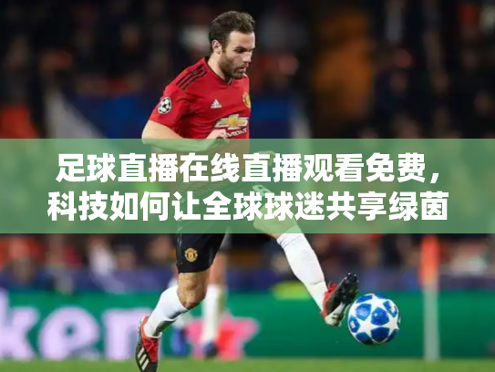 足球直播在线直播观看免费，科技如何让全球球迷共享绿茵激情