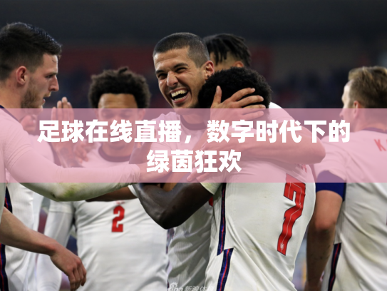 足球在线直播，数字时代下的绿茵狂欢